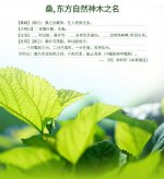 自然恩赐，科技守护：伊能®启元胶囊与血糖
